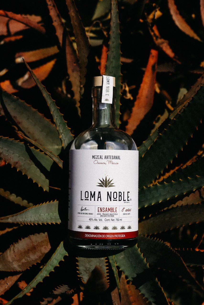 Loma Noble Mezcal Ensamble Rojo