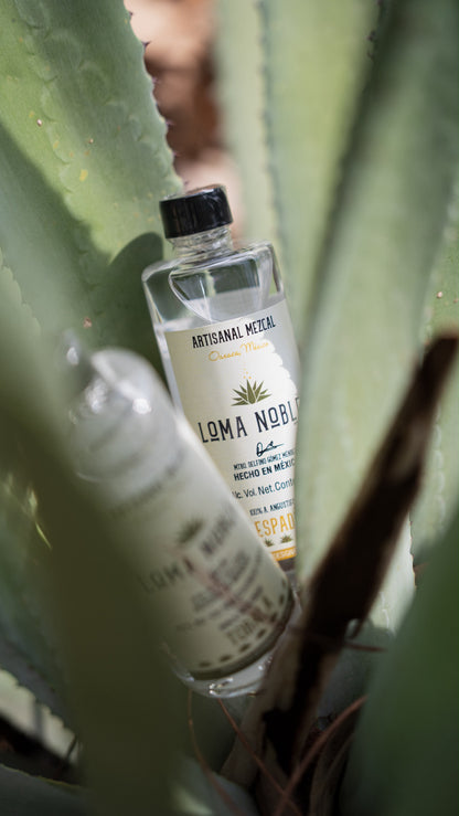 Loma Noble Mezcal Tasting Set 4 × 100 ml | Limited Edition