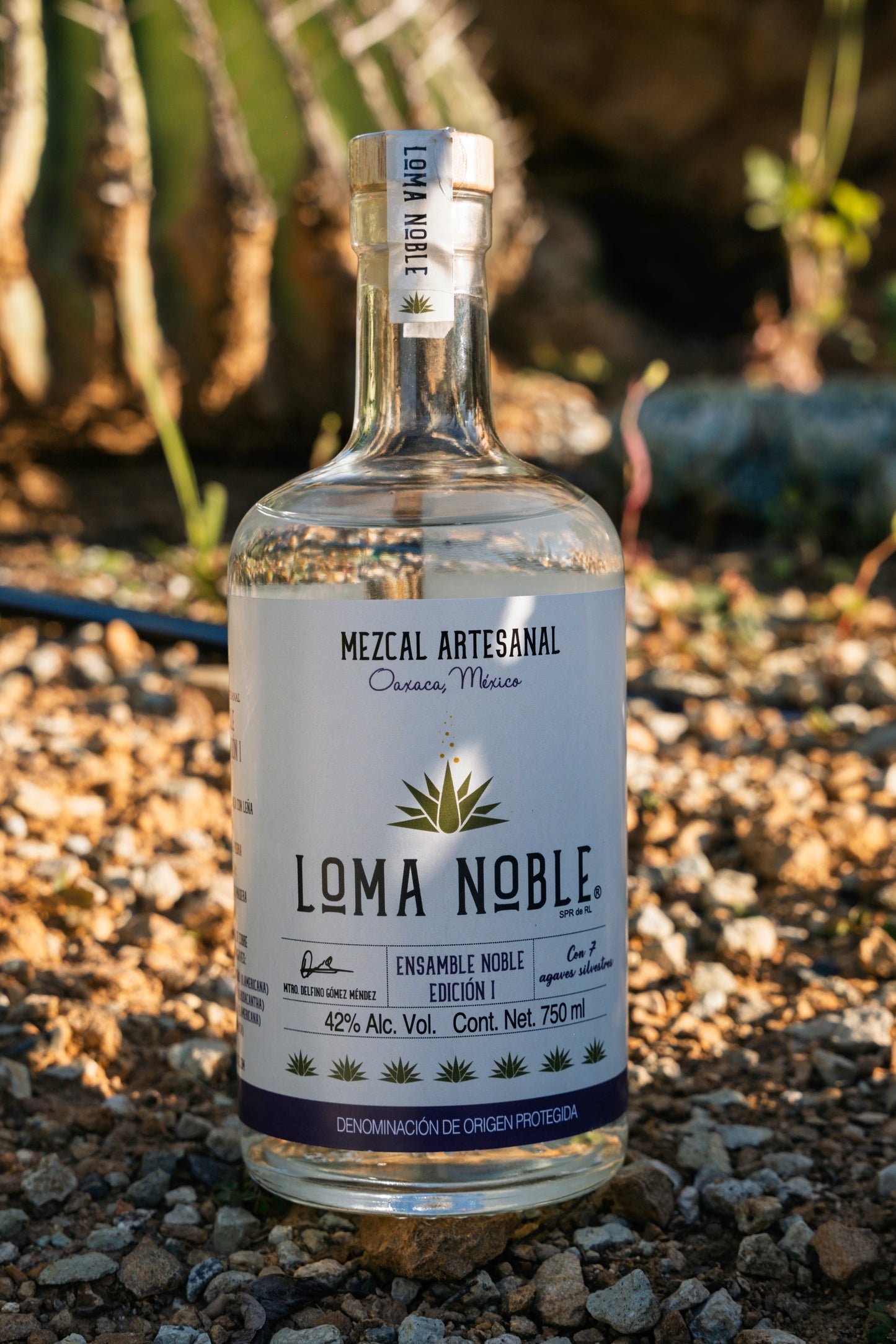 Loma Noble Mezcal Ensamble Noble 2025