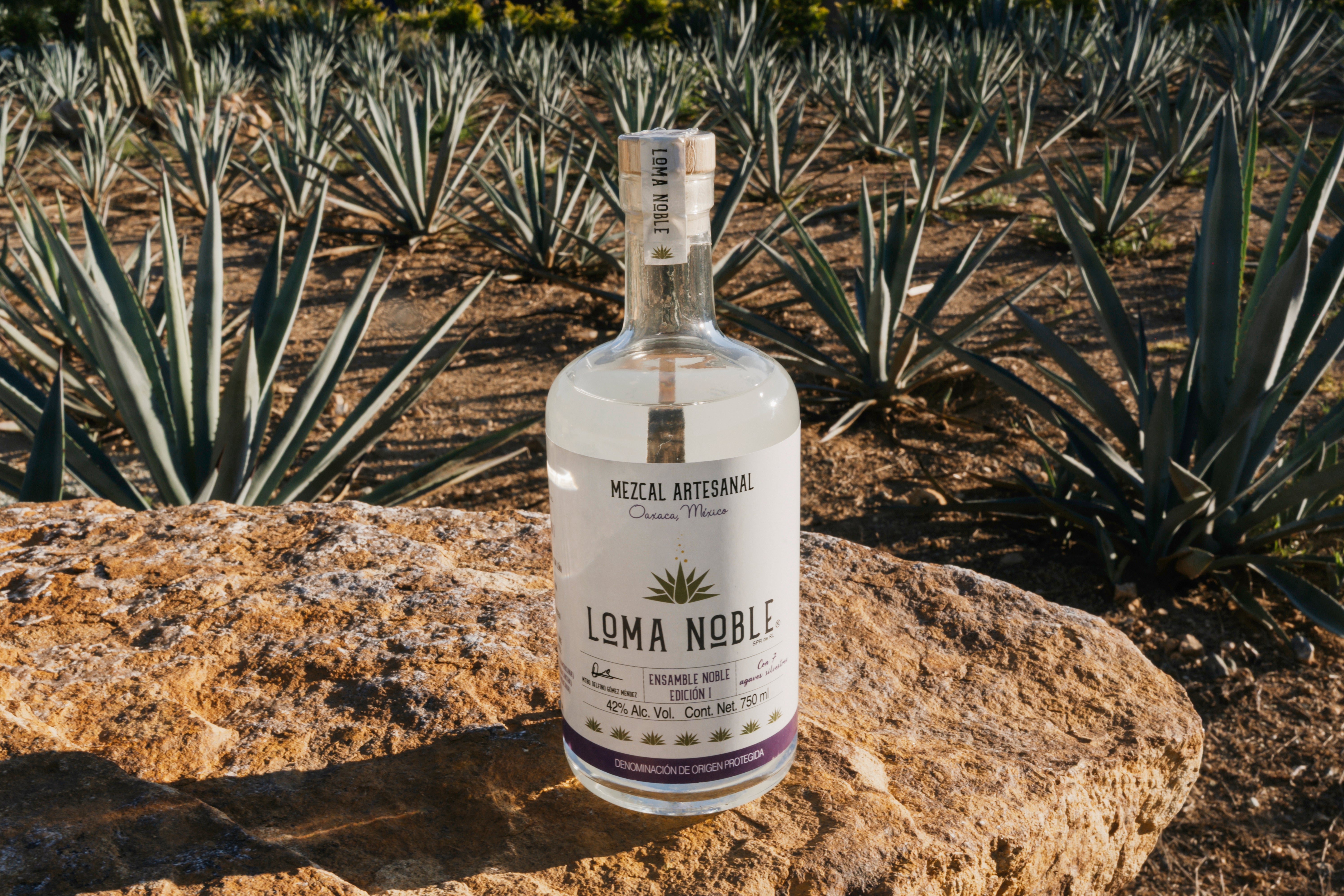 Loma Noble Mezcal Ensamble Noble 2025