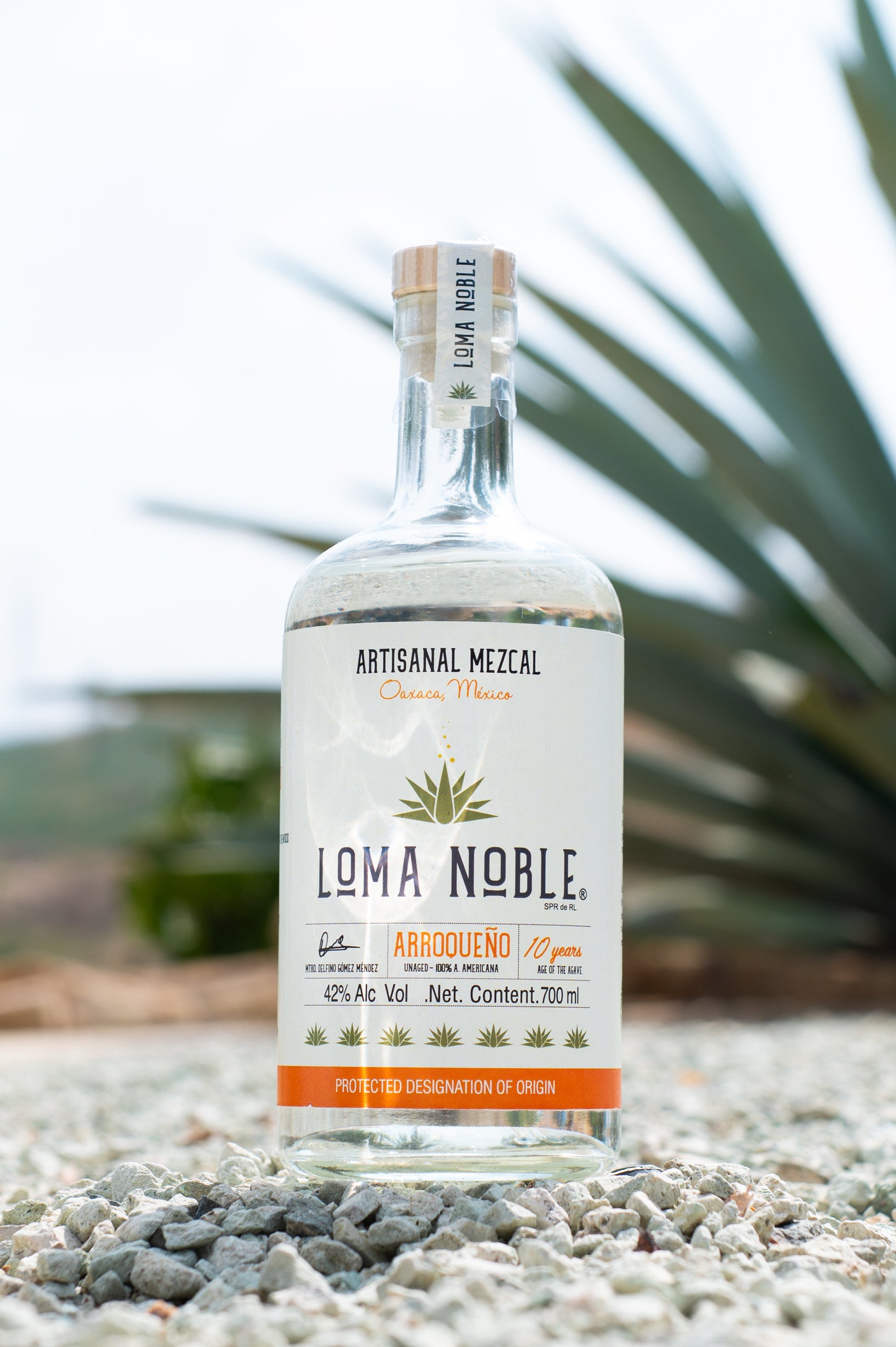 Loma Noble Mezcal Arroqueño