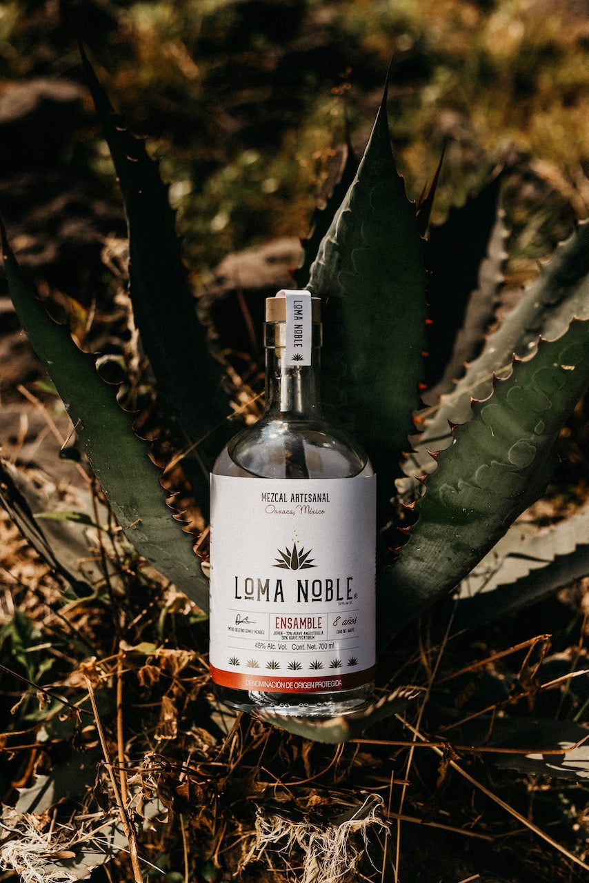 Loma Noble Mezcal Ensamble Rojo