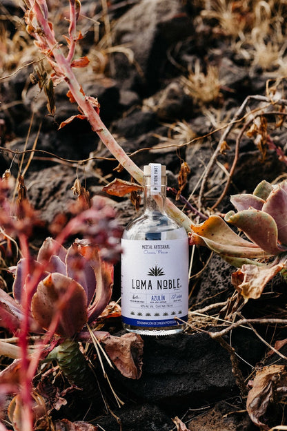 Loma Noble Mezcal Azulin