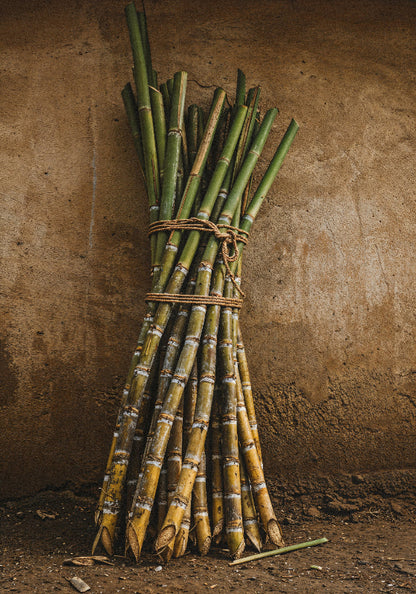 Cañas Sugarcane Rum