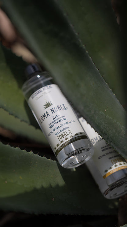 Loma Noble Mezcal Tasting Set 4 × 100 ml | Limited Edition