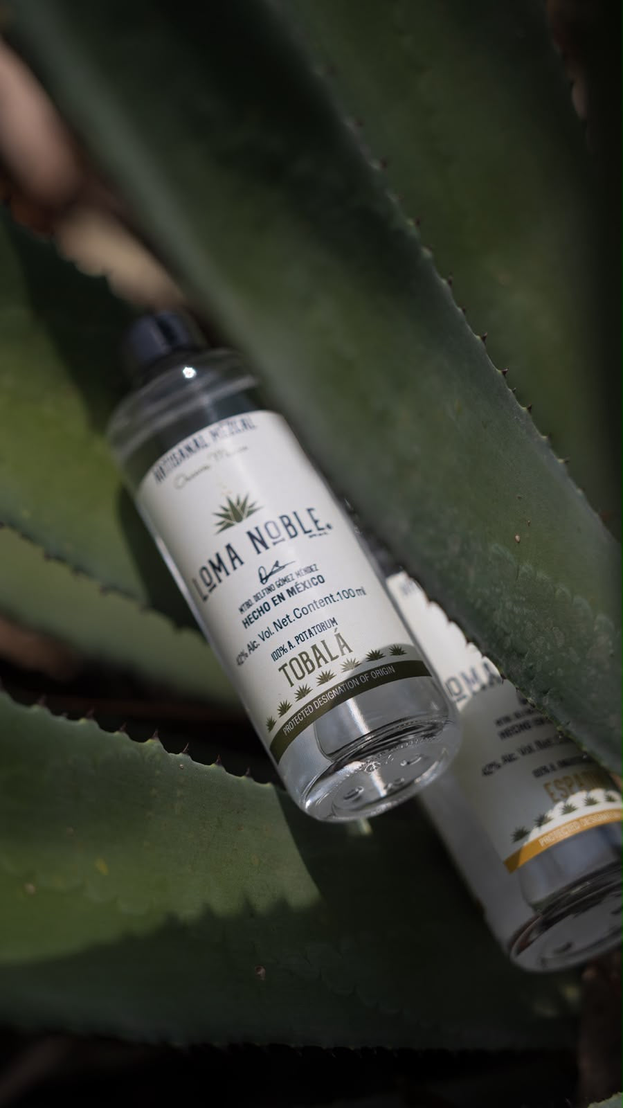 Loma Noble Mezcal Tasting Set 4 × 100 ml | Limited Edition
