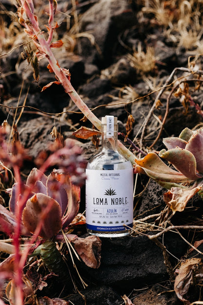 Loma Noble Mezcal Azulin