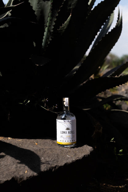 Mezcal Espadín Loma Noble