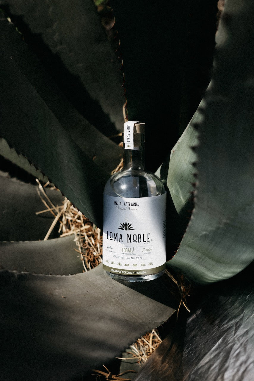 Loma Noble Mezcal Tobalá