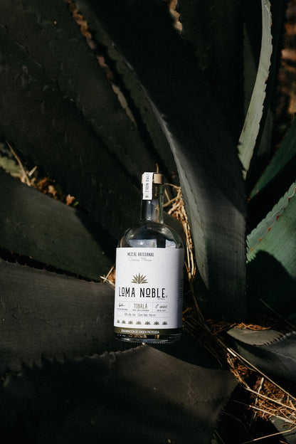 Loma Noble Mezcal Tobalá