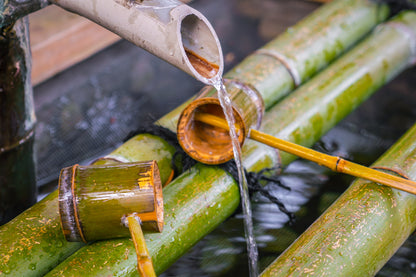 Cañas Sugarcane Rum